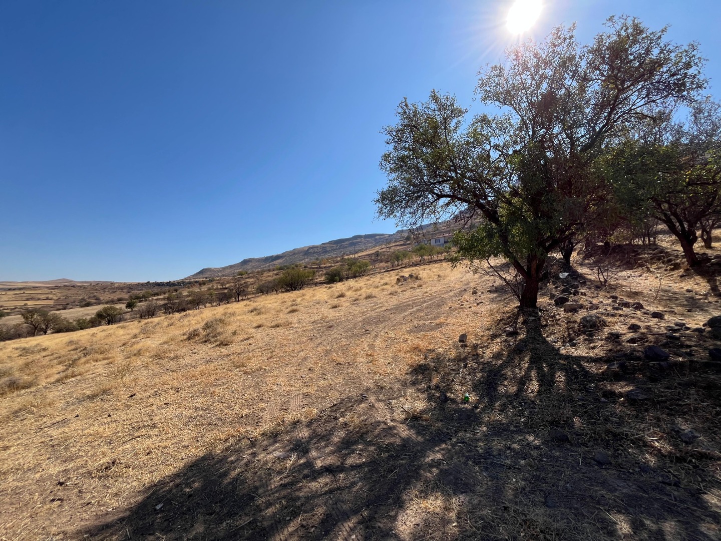 KAYSERİ DEVELİ FATİH MAHALLESİ YAMAÇ MEVKİİNDE SATILIK BAĞ YERİ